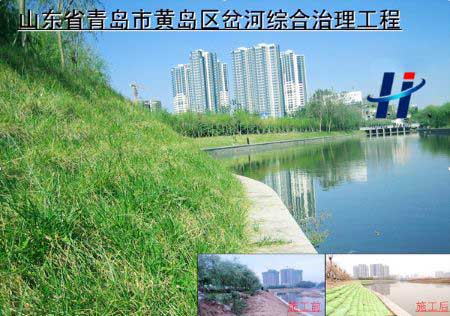 山東省青島市黃島區(qū)岔河綜合治理工程