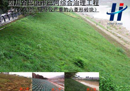 四川省巴中市巴河綜合治理工程 （原基礎(chǔ)為——年久失修、破壞較嚴重的六菱形磚塊）