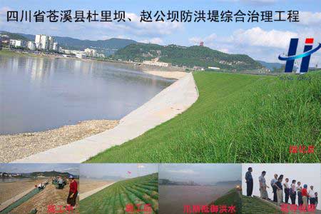 四川省蒼溪縣杜里壩、趙公壩防洪堤綜合治理工程