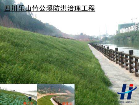四川樂山竹公溪防洪治理工程