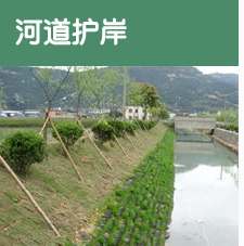 <b>綠化護(hù)坡用袋</b>
