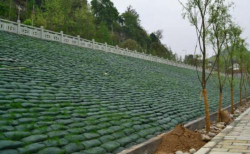 園林景觀生態(tài)袋施工圖片