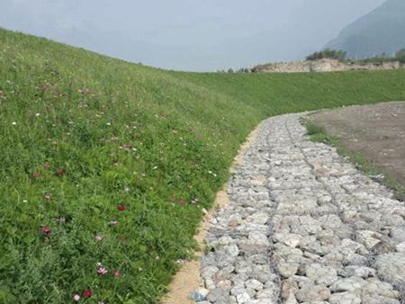 環(huán)保植被毯