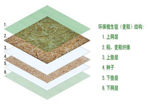 抗沖生物毯結(jié)構(gòu)示意圖