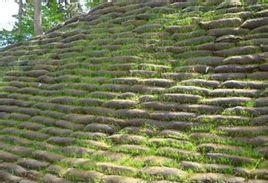 生態(tài)袋綠化護(hù)坡