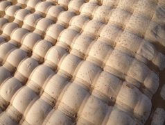 生態(tài)土工膜袋是否適用于硬性護(hù)岸和軟性綠化？