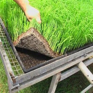環境改良專用布