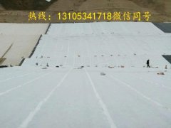 什么是防滲土工布？