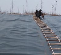 什么是HDPE彩色土工膜(黑綠土工膜、白色土工膜)?